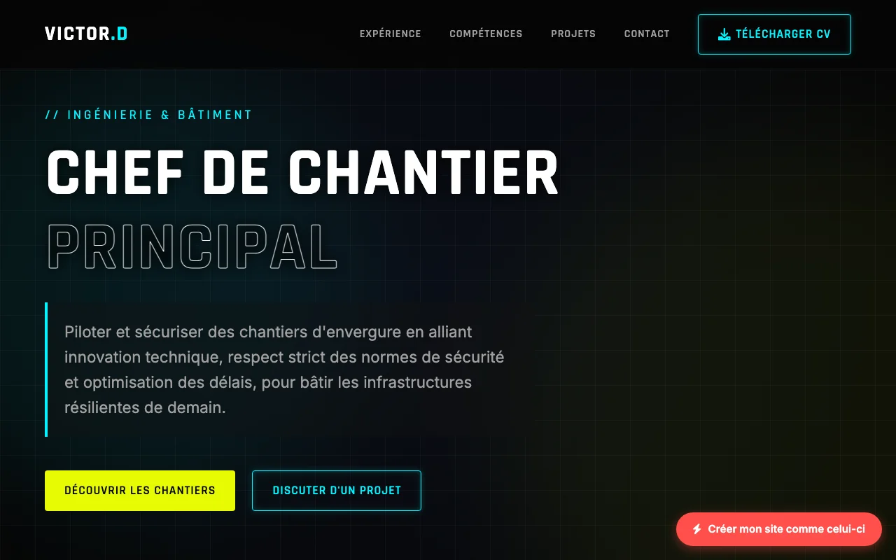 CV professionnel — Cinématique