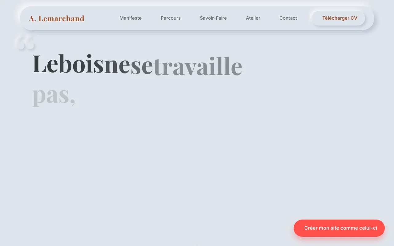 Professional CV — Manifesto