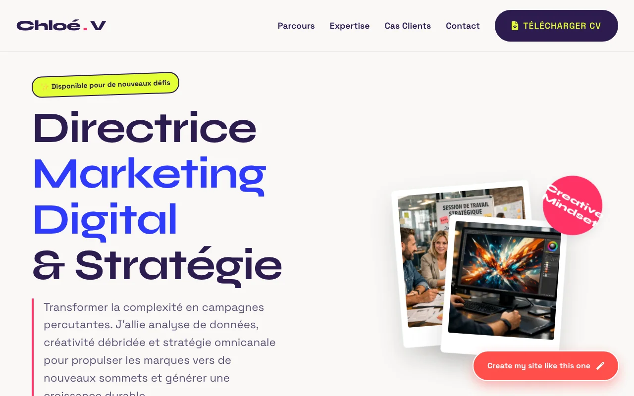 Professional CV — Agency