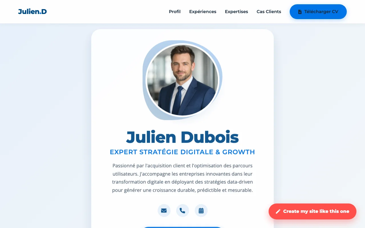 Professional CV — Boutique