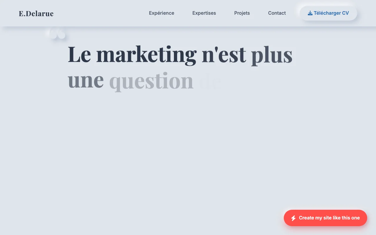 Professional CV — Manifesto