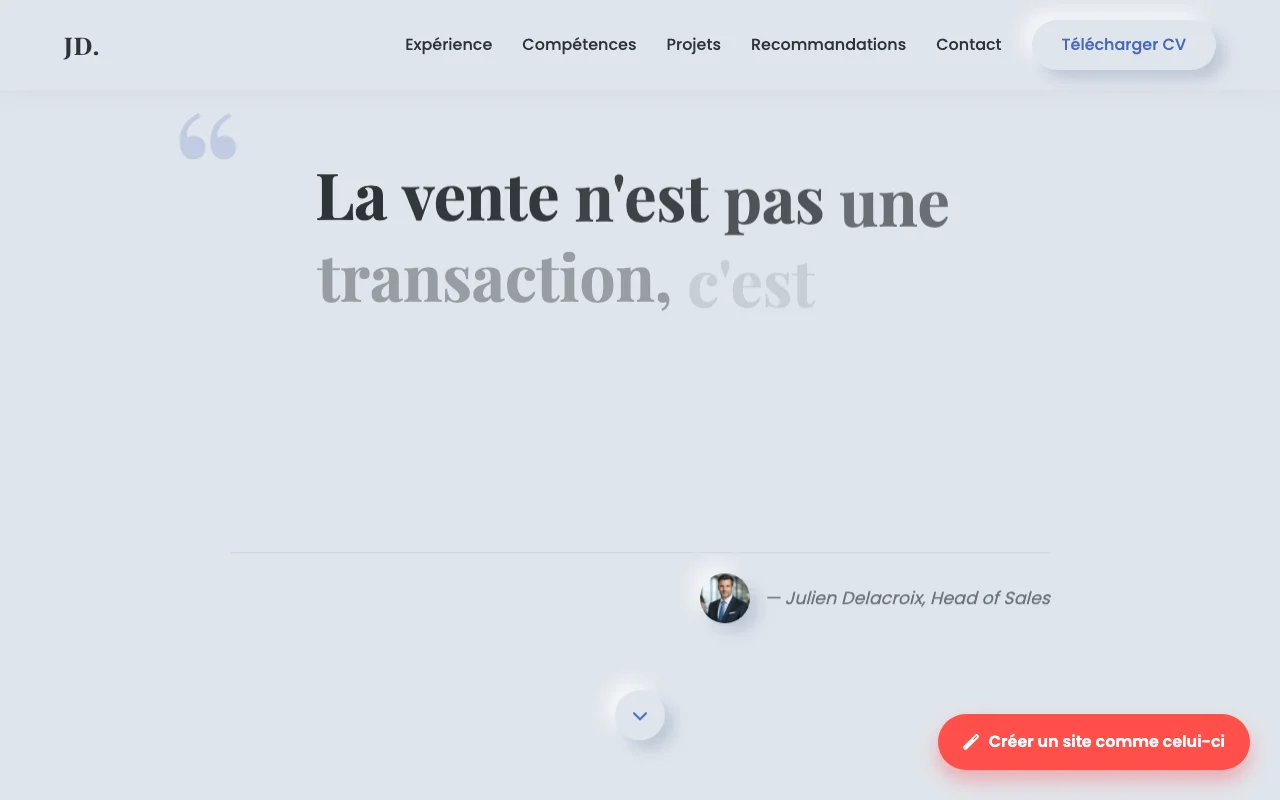 Professional CV — Manifesto