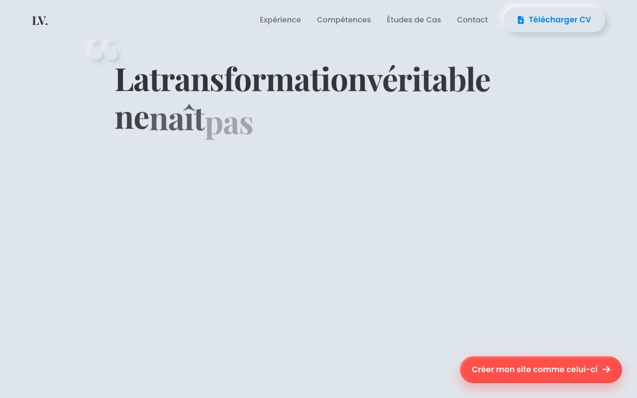 Professional CV — Manifesto