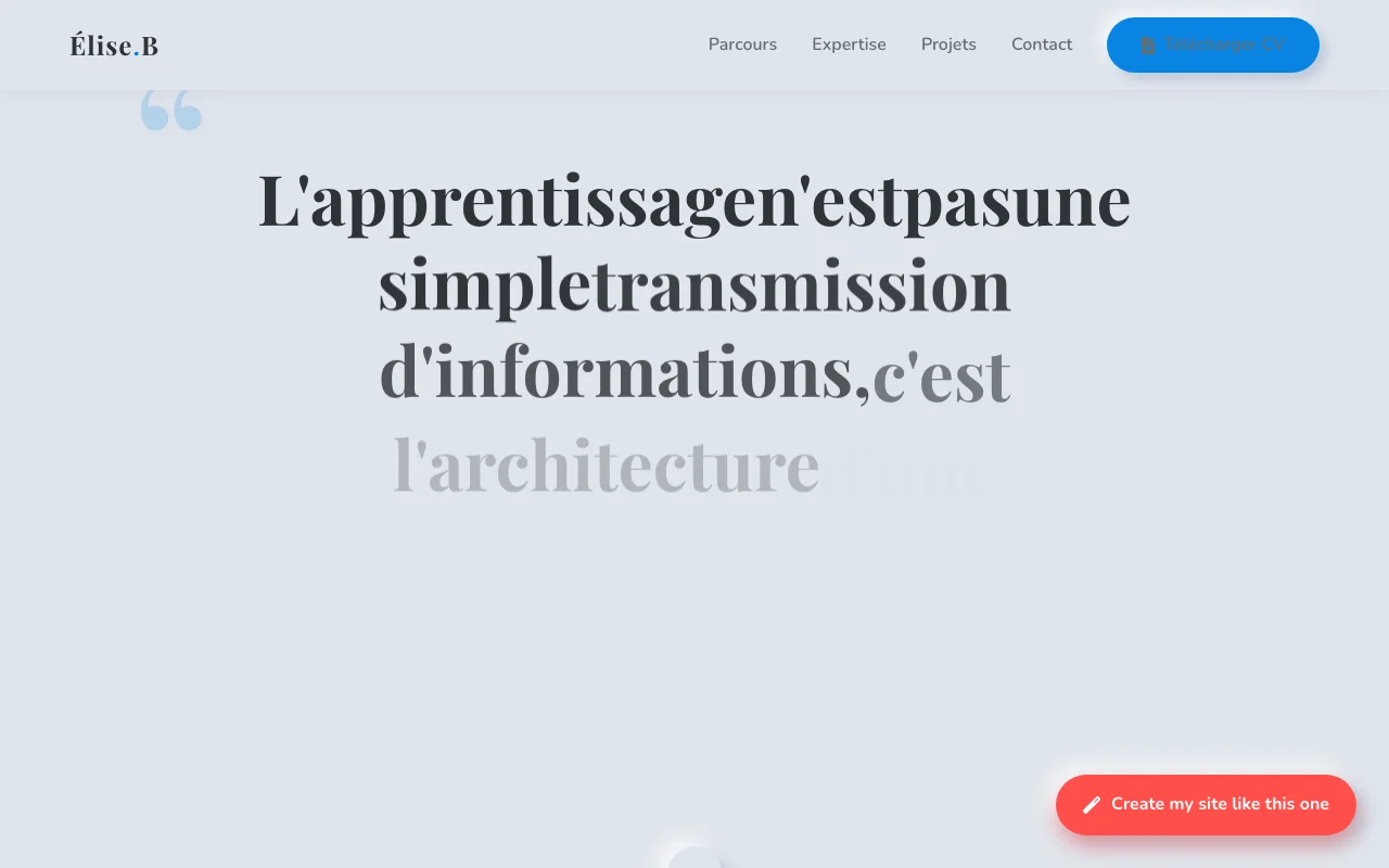 Professional CV — Manifesto